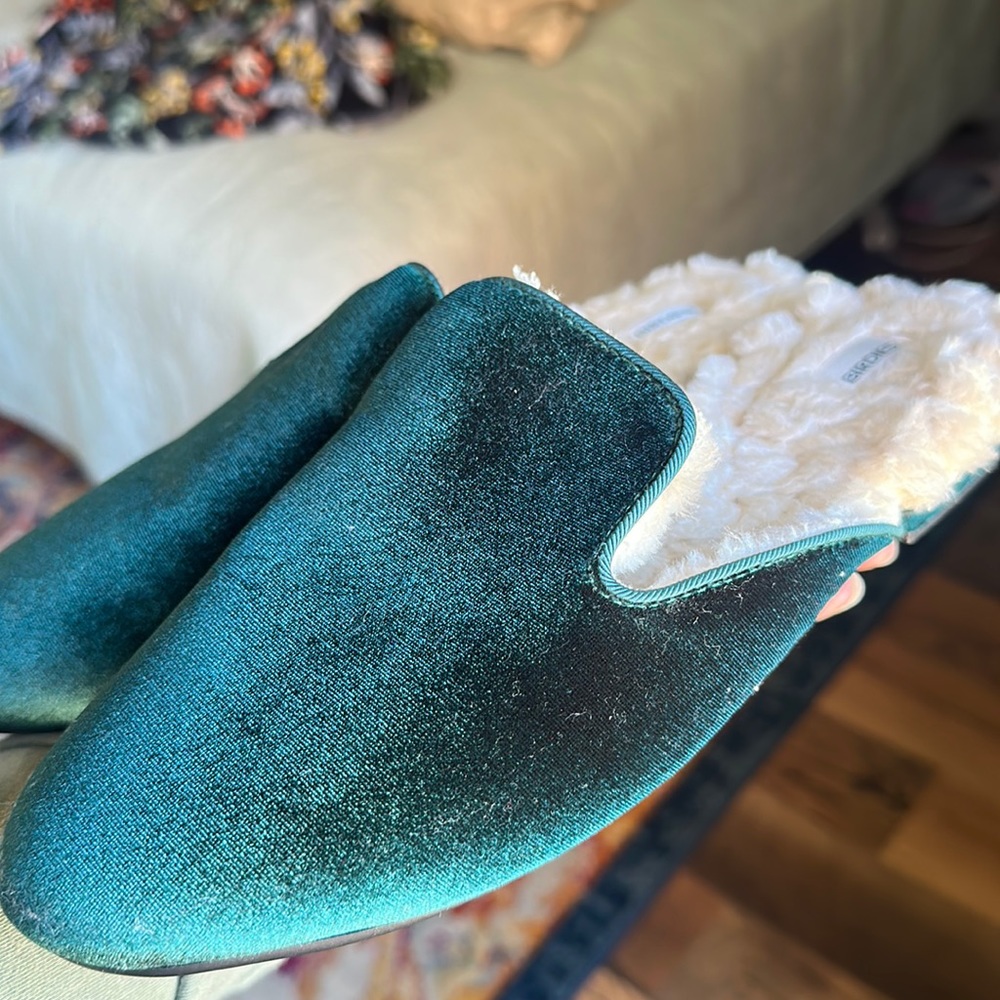 Teal warm birdies
